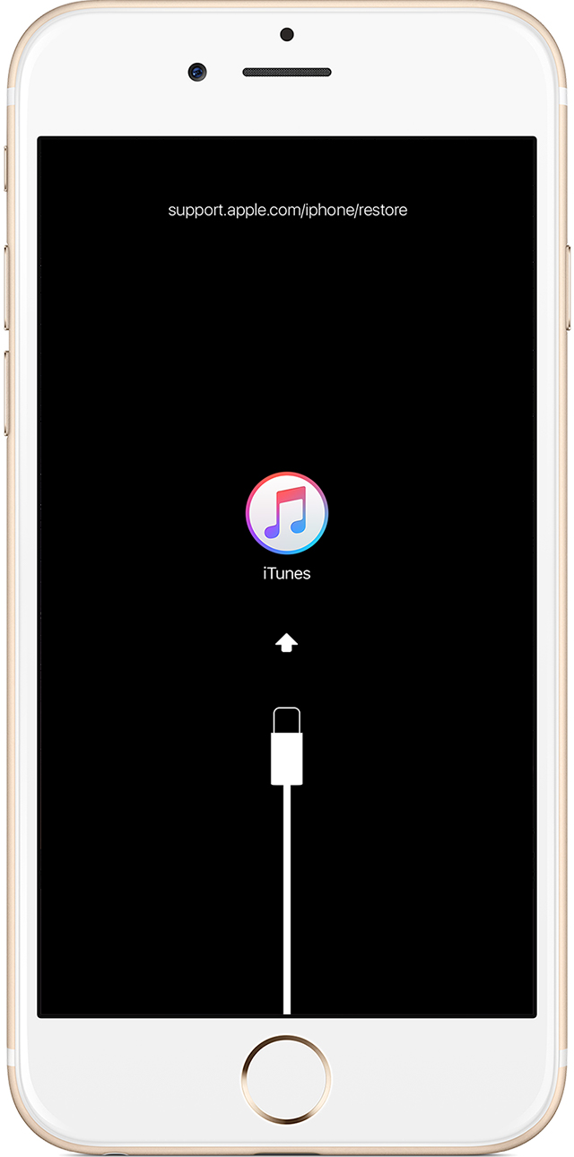 how to connect iPhone to iTunes when disabled